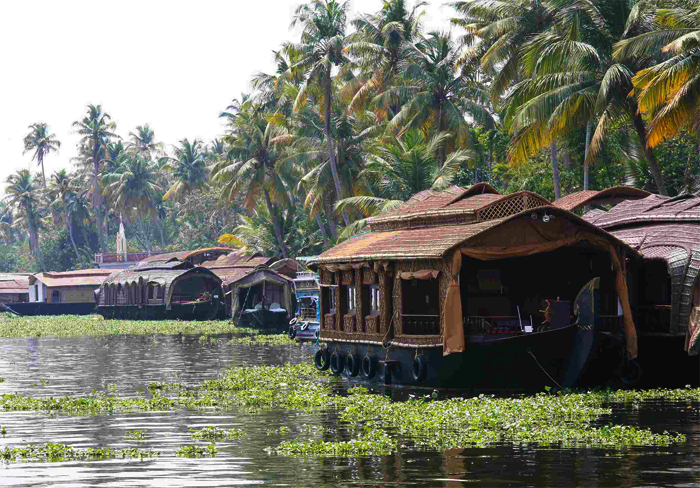 beautiful-nest-and-backwater-tour